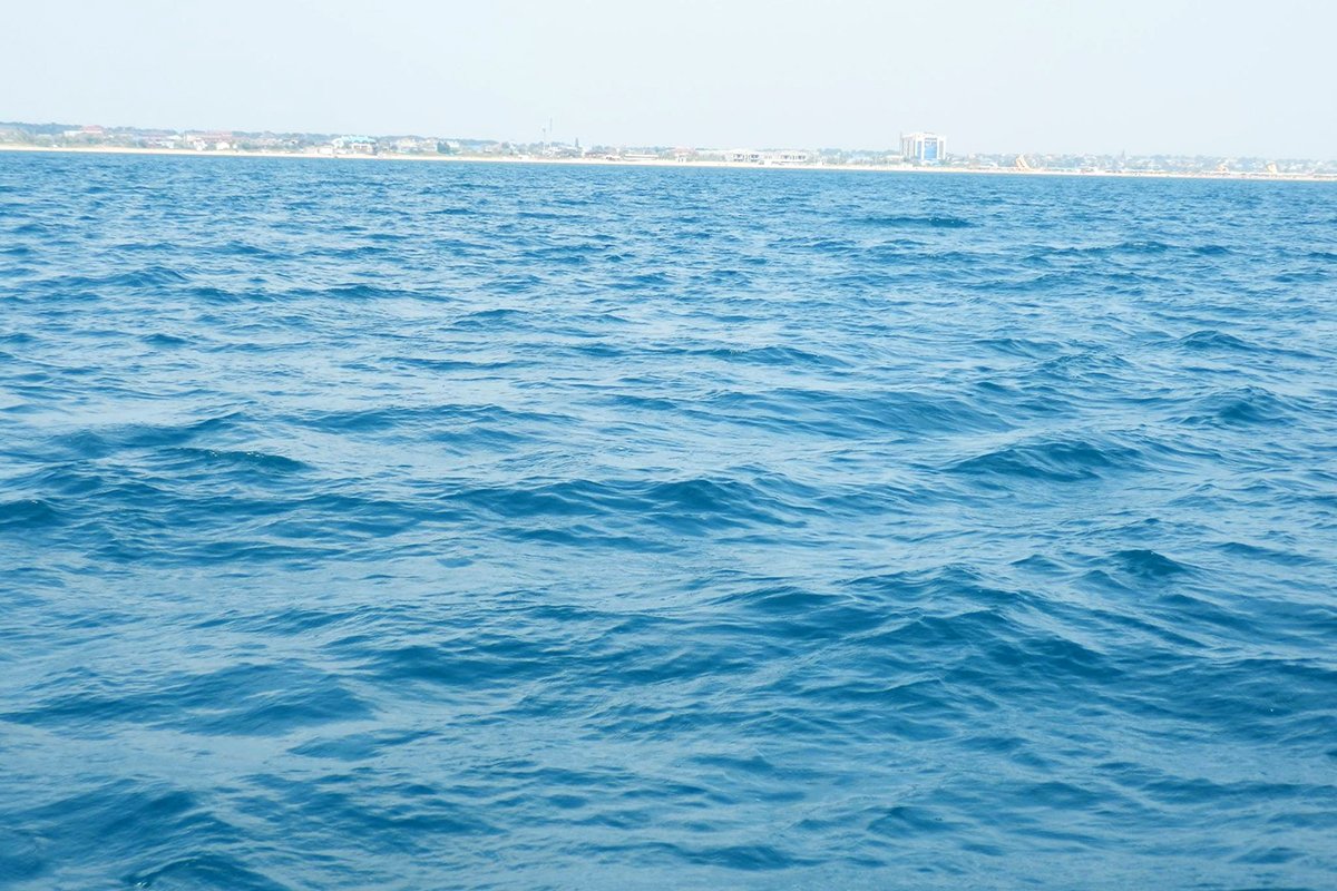 Фото: Юлия Климычева