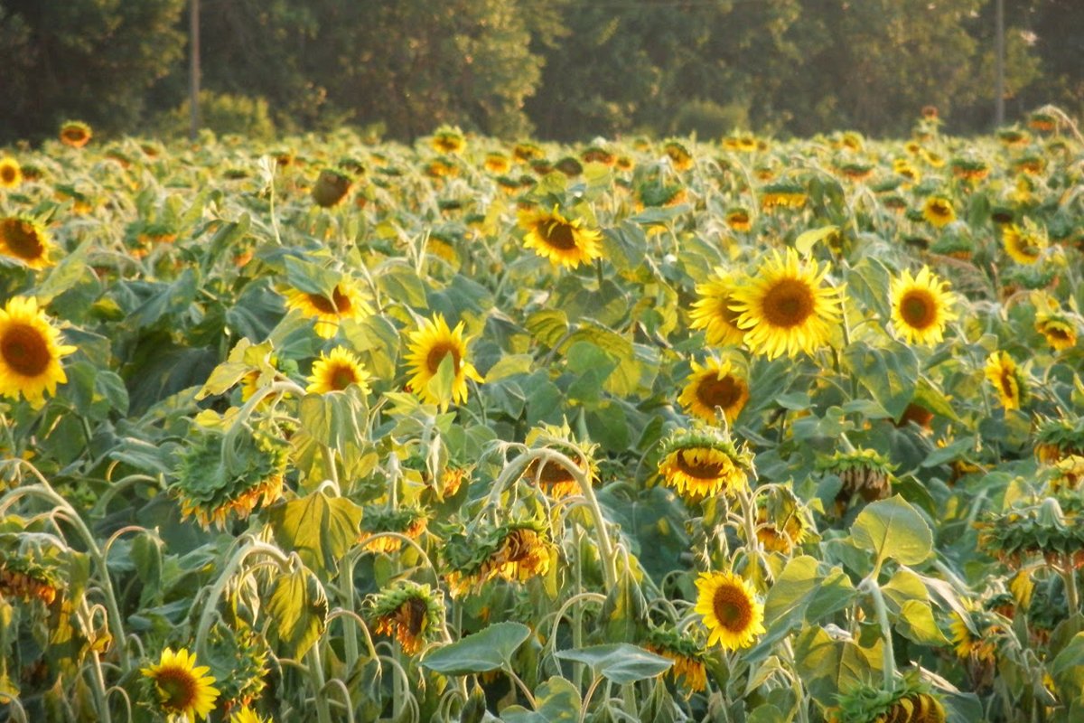 Фото: Юлия Климычева
