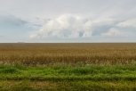 Дальневосточный гектар смогут получить дети