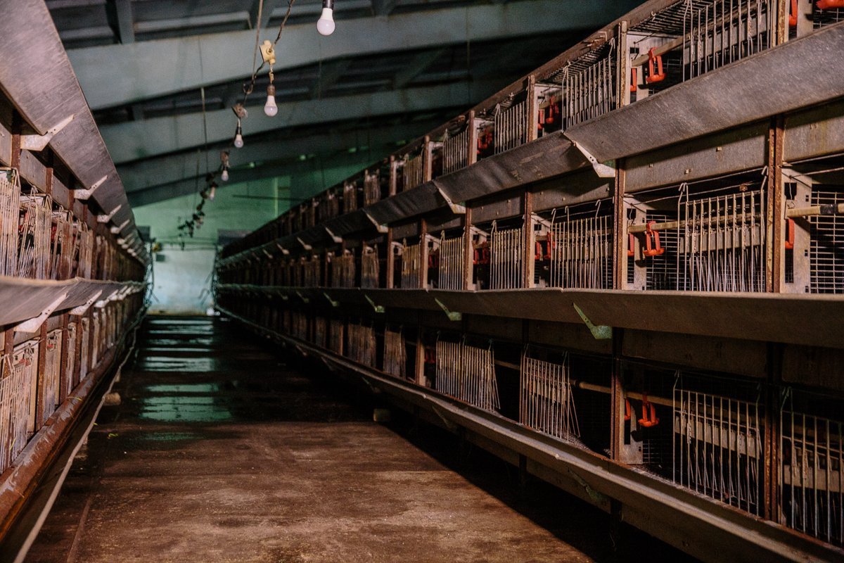 Фото: Сергей Лазовский