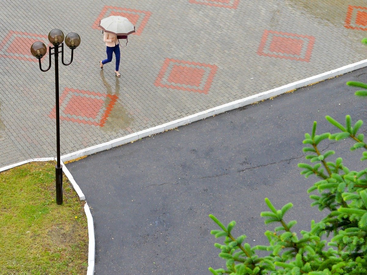 Фото: Архив АП