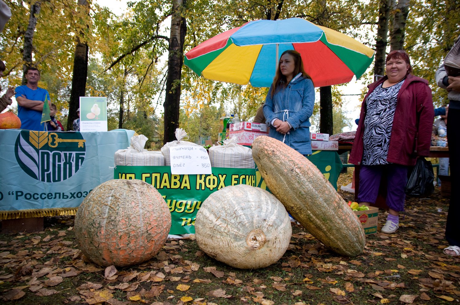 Фото: Архив АП
