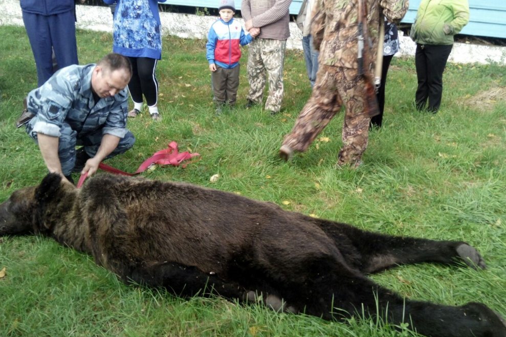 Фото: соцсети