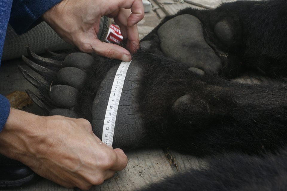 Фото: facebook.com/Вячеслав Кастрикин