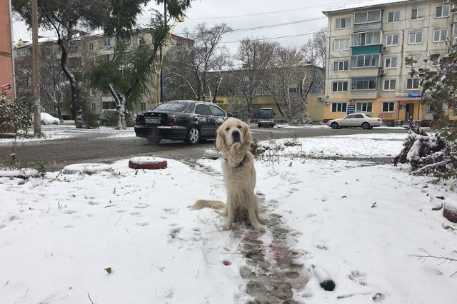 Погода в антарктиде на месяц