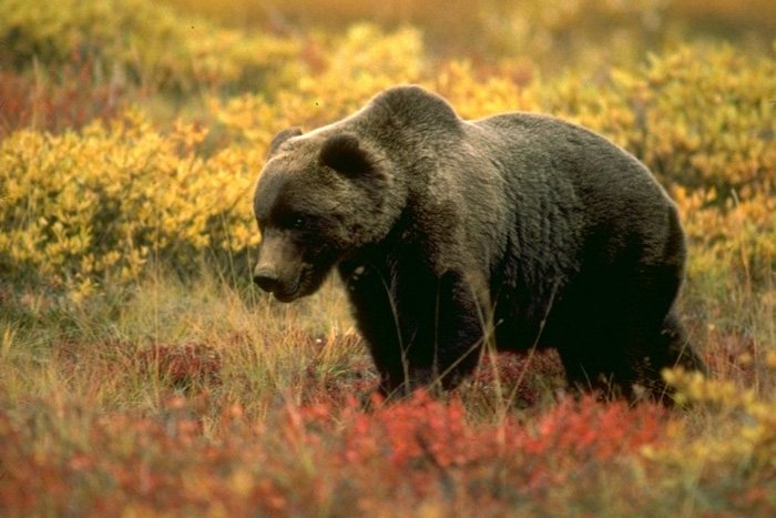 Фото: review-planet.ru