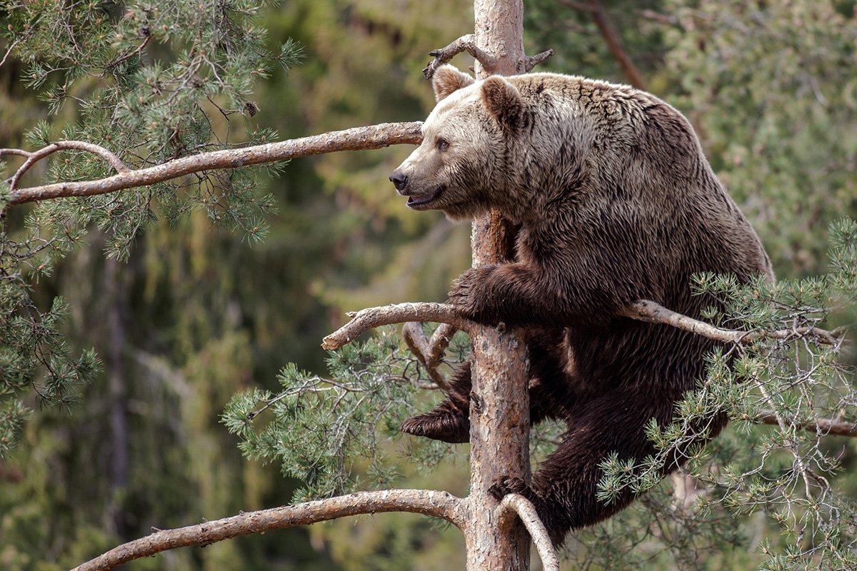 Фото: Pinster.ru