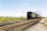 Поезд сбил медведя на юге Амурской области
