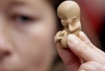 Благовещенские активисты присоединятся к «Битве за жизнь» нерожденных детей