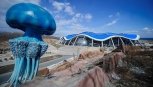 В Приморье расследуют гибель животных в новом океанариуме