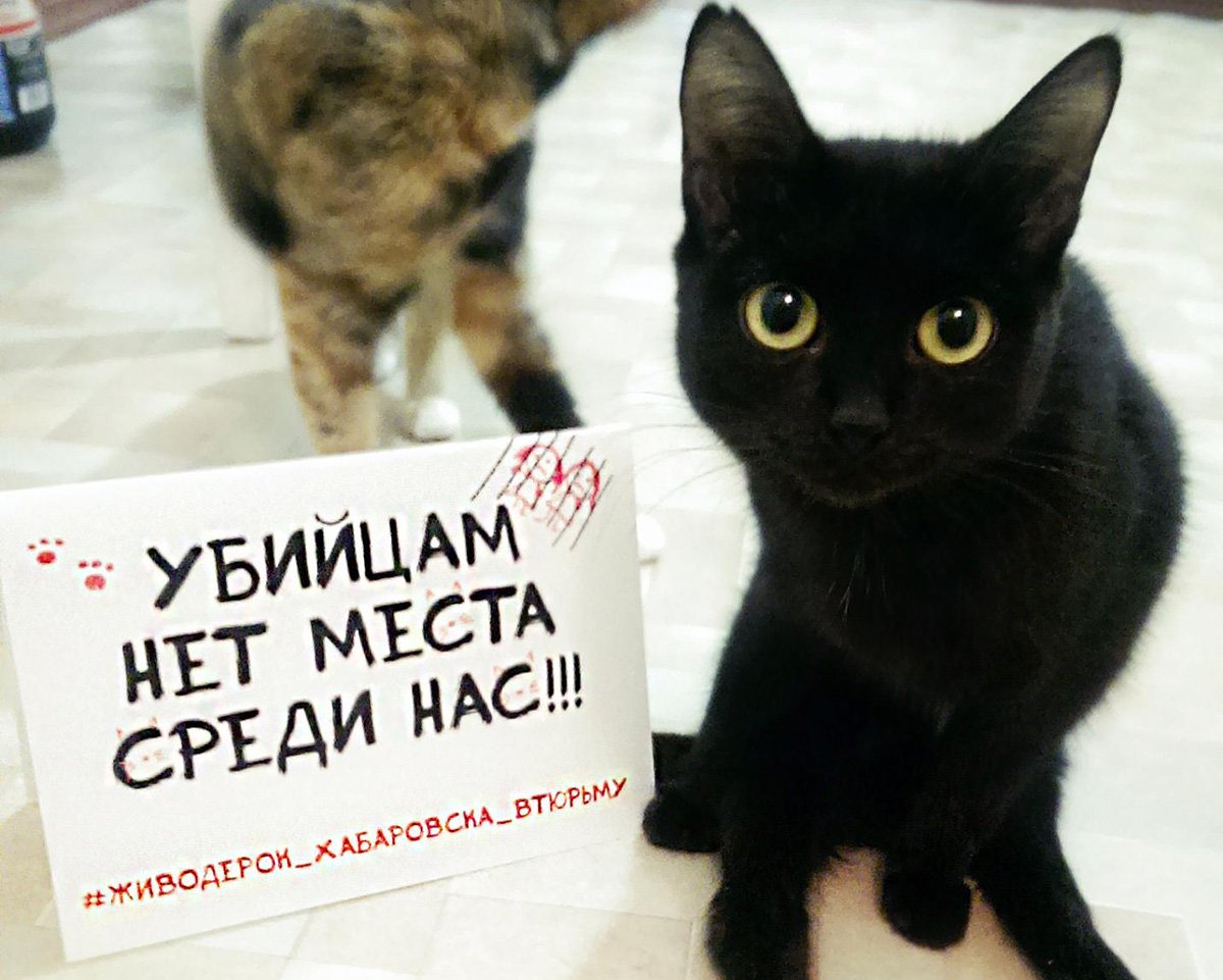 Фото: Любовь Силина