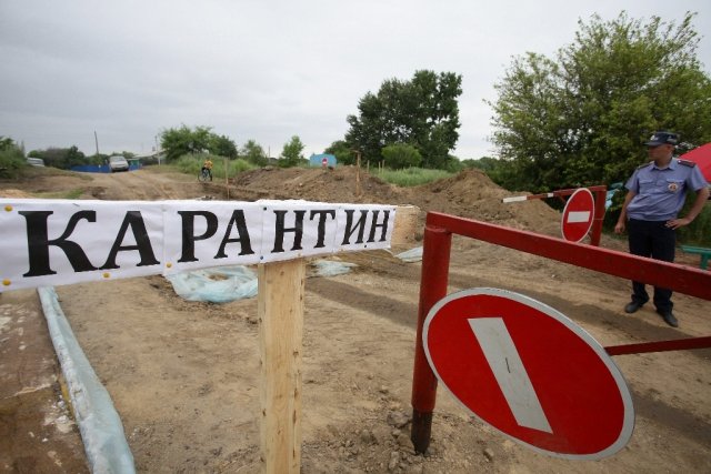 Фото: Архив АП