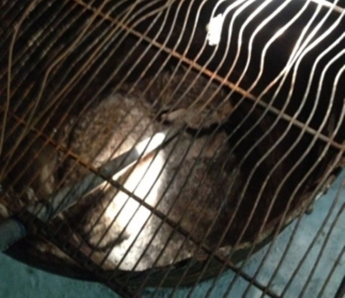 Фото: Амурский центр ГЗ и ПБ