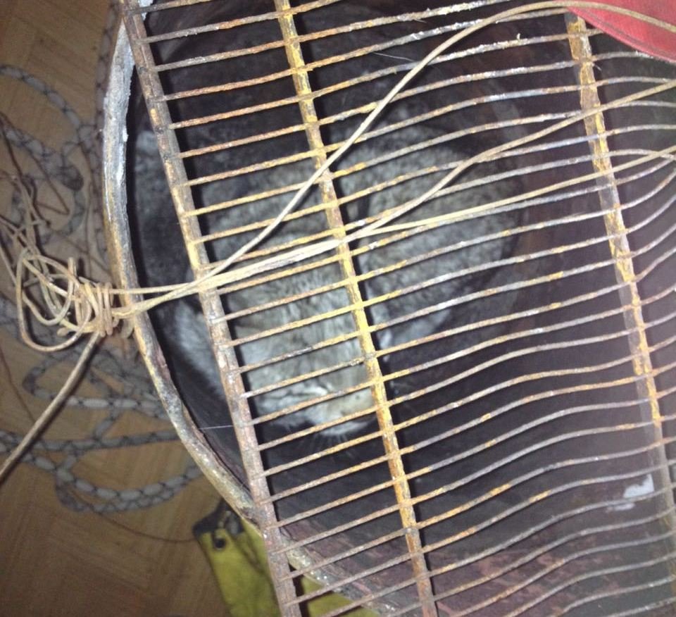 Фото: Амурский центр ГЗ и ПБ