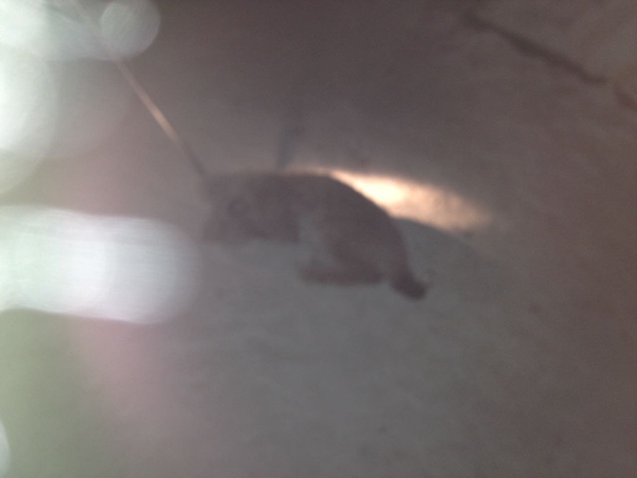 Фото: Амурский центр ГЗ и ПБ