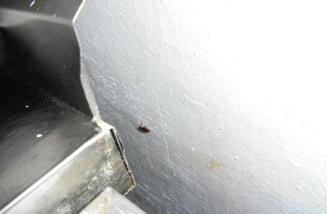 Фото: Роспотребнадзор Амурской области.