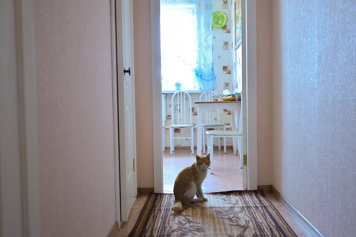 Фото: Архив АП