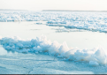 leonov_e_v: Ледяные торосы на Зее. Почти как в Антарктике.