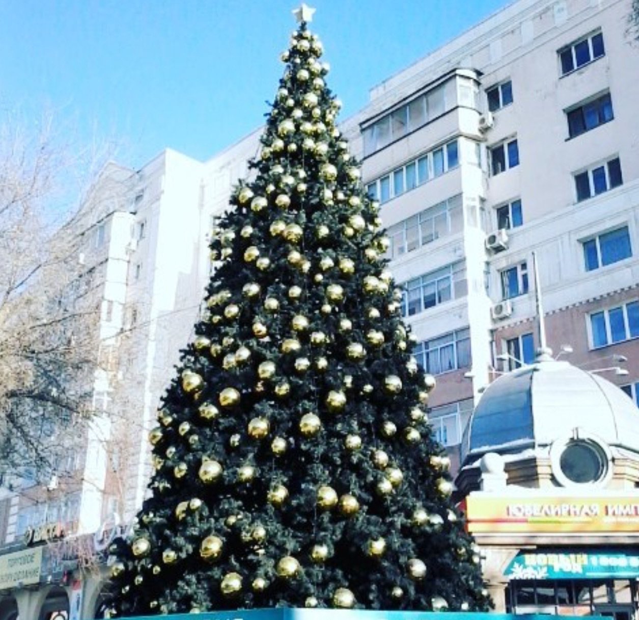 Фото: instagram.com/_alla.twelve_