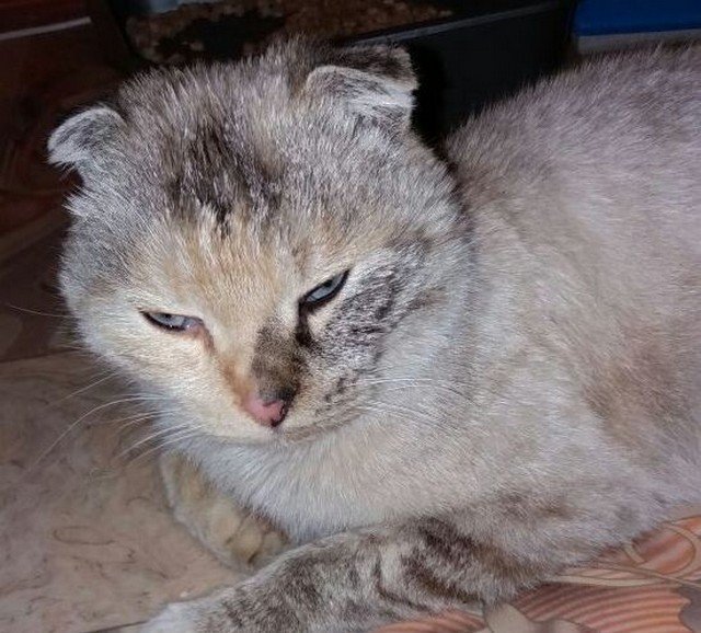 У Фроси было сильнейшее обморожение и сломанные позвонки.