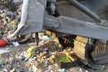 Фото: Россельхознадзор по Забайкальскому краю и Амурской области.