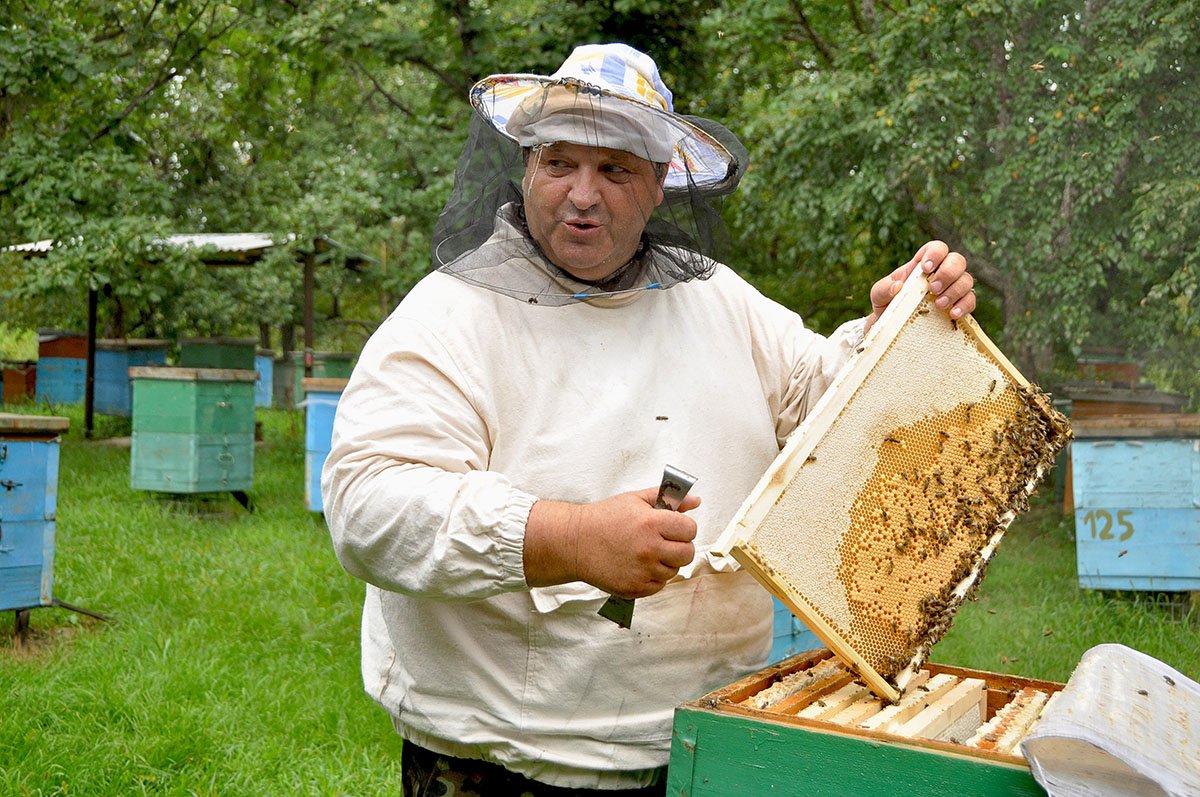 Фото: Архив АП