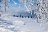 В середине недели в Приамурье пройдет снег: прогноз погоды