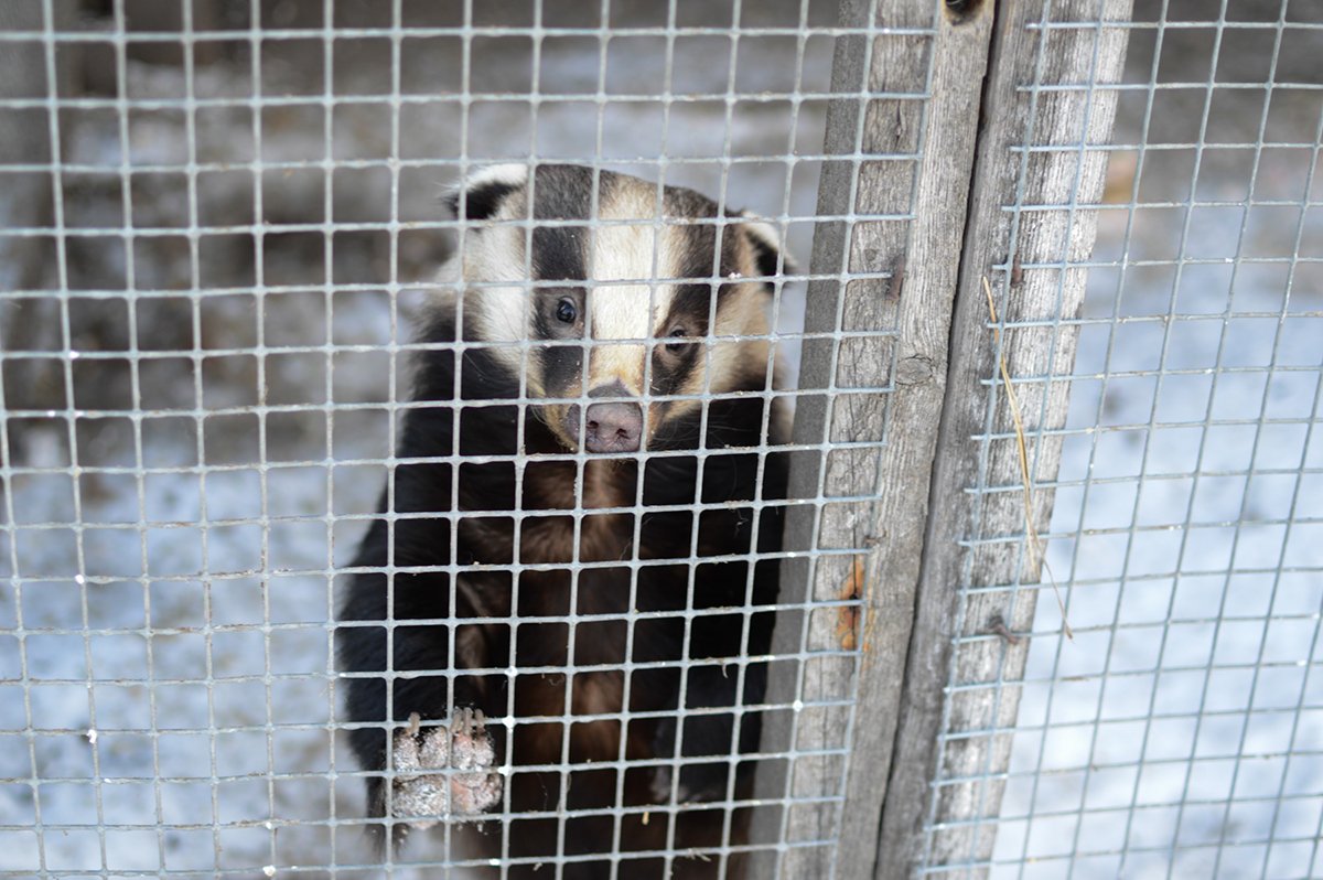 Каждый постоялец — почти герой, достойный внимания Джека Лондона.
