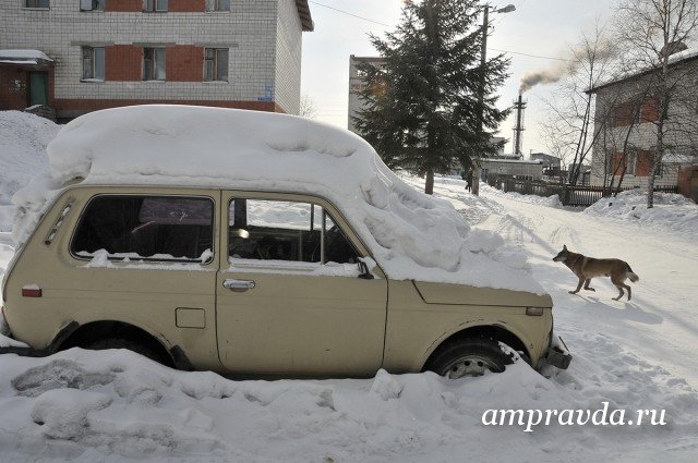 Сумма выплат по ОСАГО в начале года превысила объём сборов