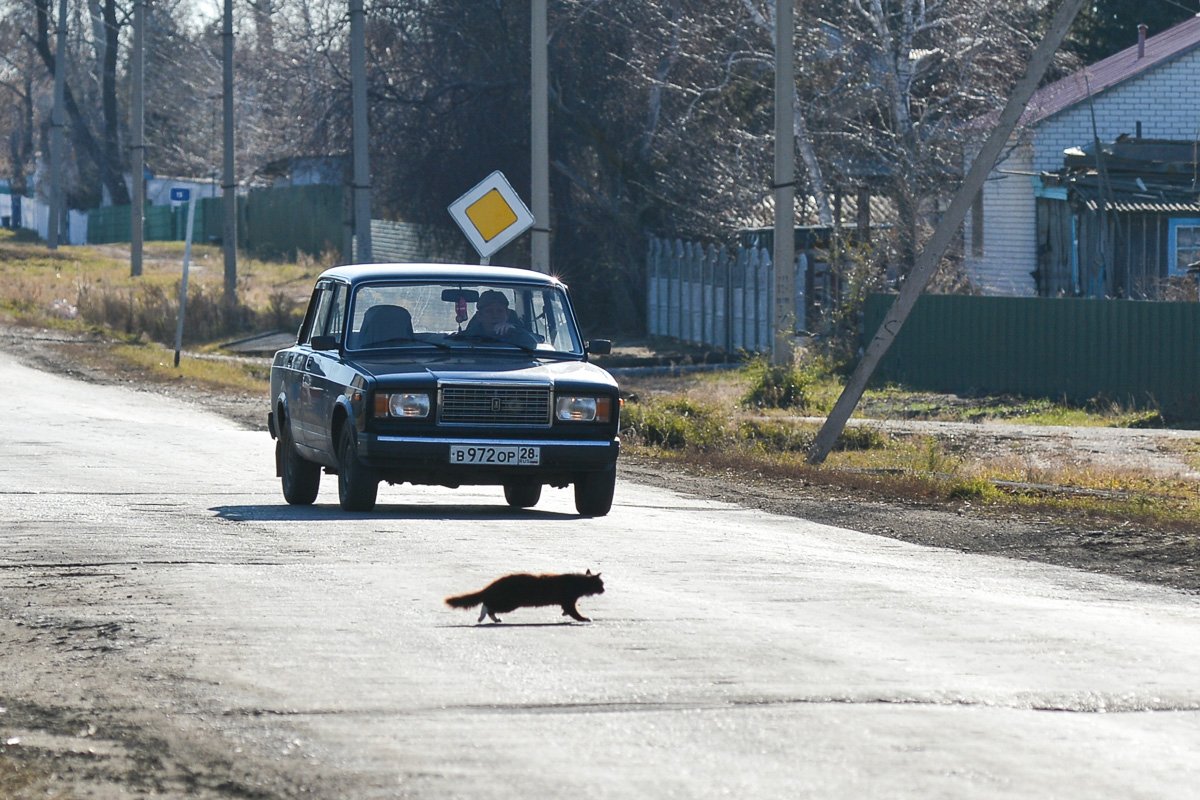 Фото: Андрей Ильинский
