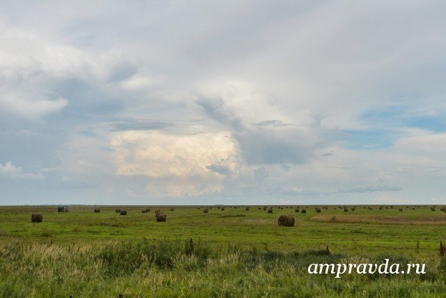 Фото: Архив АП