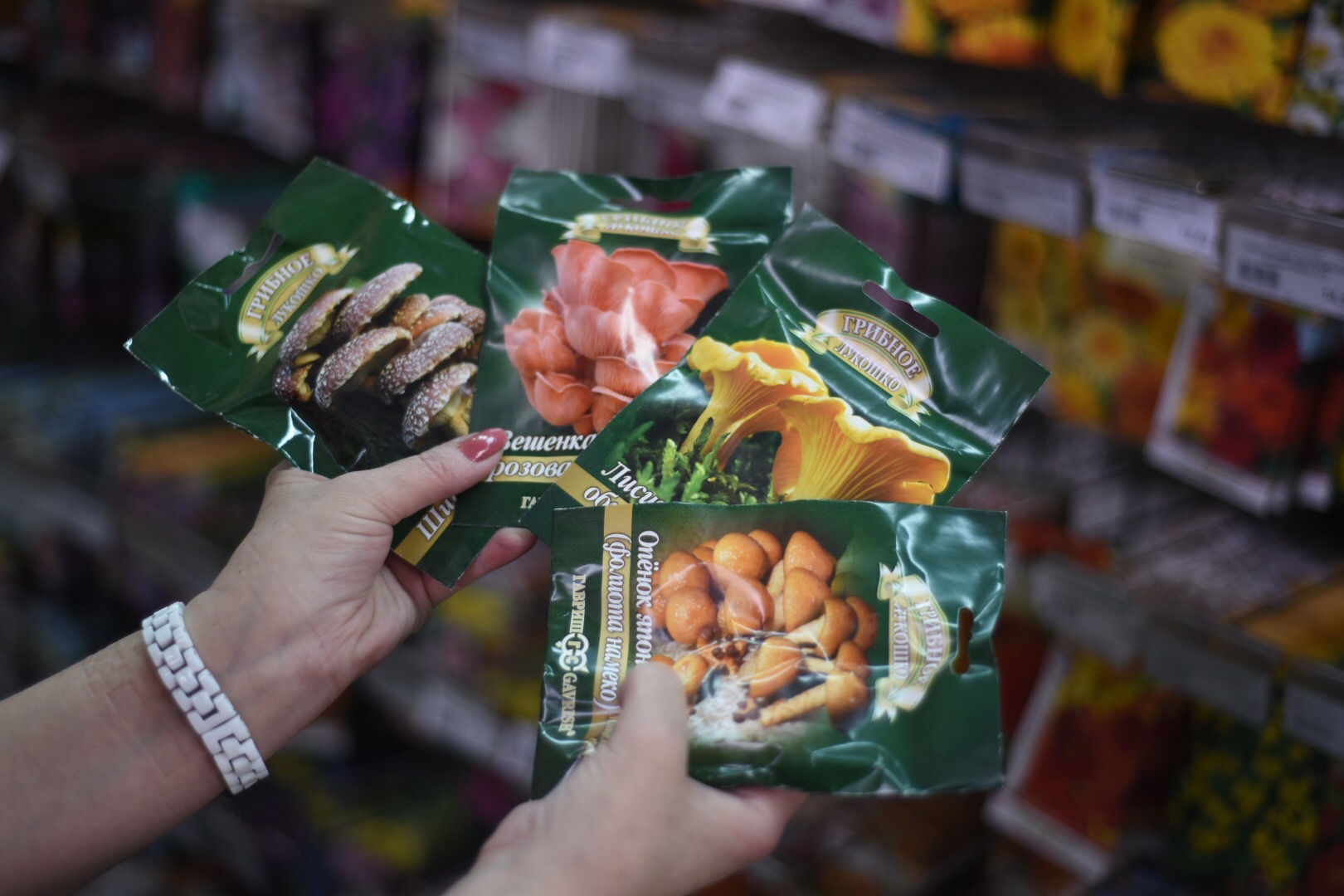 Фото: Дмитрий Тупиков