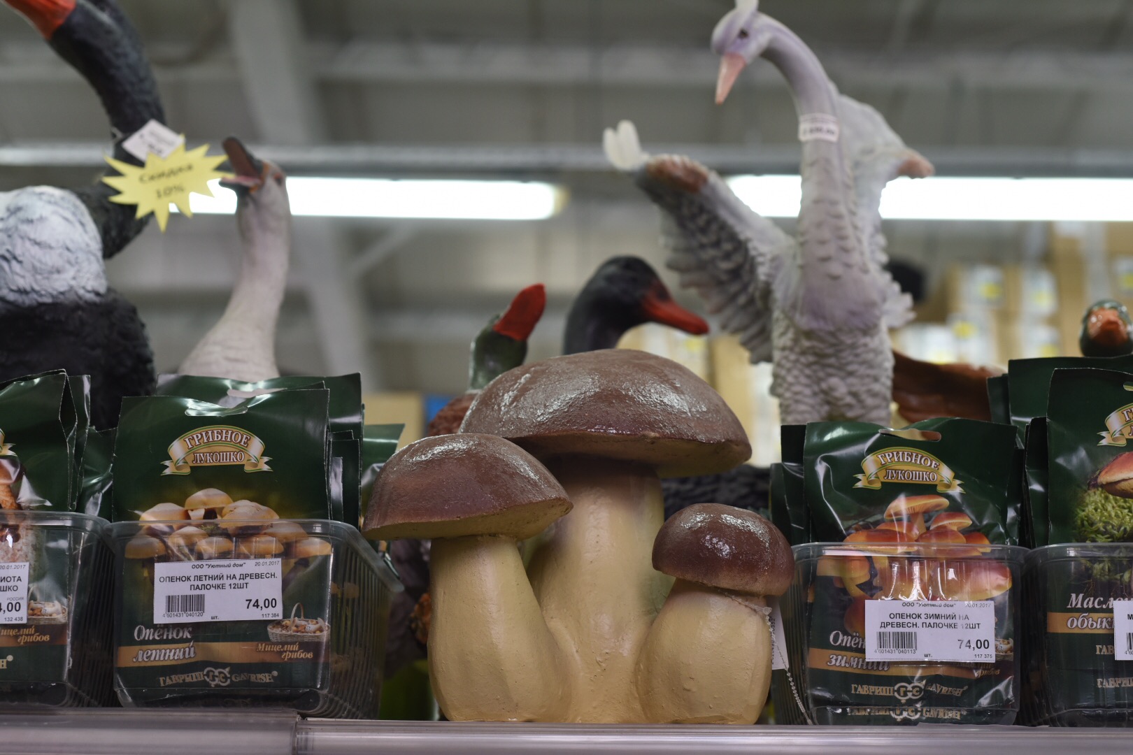 Фото: Дмитрий Тупиков