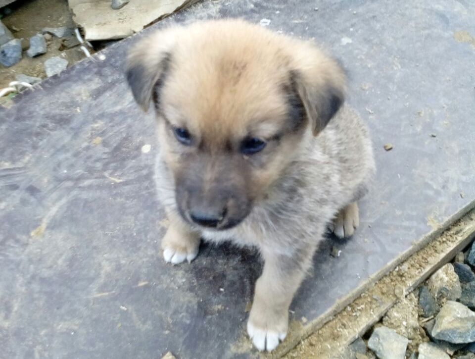 Бублик в детстве.