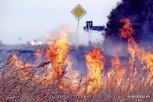 Первый класс пожарной опасности установлен в 16 районах Приамурья