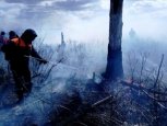 Сорок спасателей из Хабаровска помогают тушить пожары в Приамурье