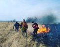 vasyukovairina: Но борьбу с огнем вышли пожарные из Михайловки.