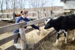 Ферма для Ниночки: молодая амурчанка променяла соцсети на коров