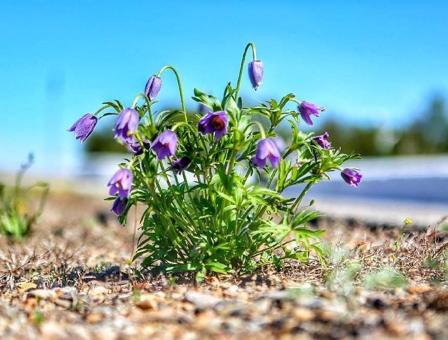 Фото: Елена Юрьевна.