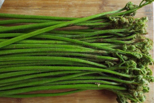 В Приамурье заканчивается сезон сбора папоротника / В Приамурье заканчивается сезон сбора и продажи папоротника. Пучок дальневосточного деликатеса уличные торговцы Благовещенска предлагают за 50 рублей. 