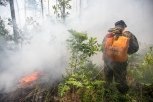 Лесные пожары вблизи станции Ушумун и свободненского села потушили в выходные