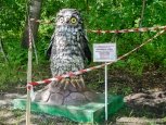 Бетонный тигр и резиновая сова поселились в Первомайском парке Благовещенска