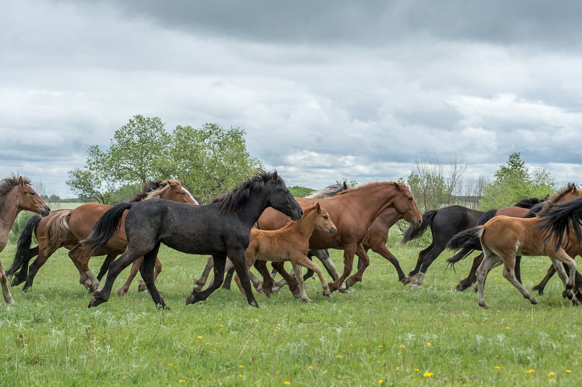 Фото: Андрей Ильинский