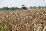 Амурские парламентарии предлагают создавать сельхозкооперативы и бережно относиться к земле