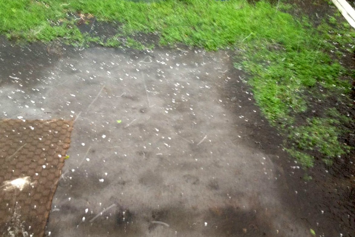 Фото: Алексей Сафуллин, соцсети