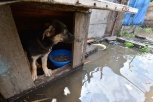 Из-за глобального потепления в ближайшие 10 лет возможны теплые зимы и холодное лето