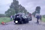 Полиция разберется в причинах смертельного ДТП в Серышевском районе