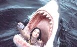 Селфи в этом году стало опаснее акул