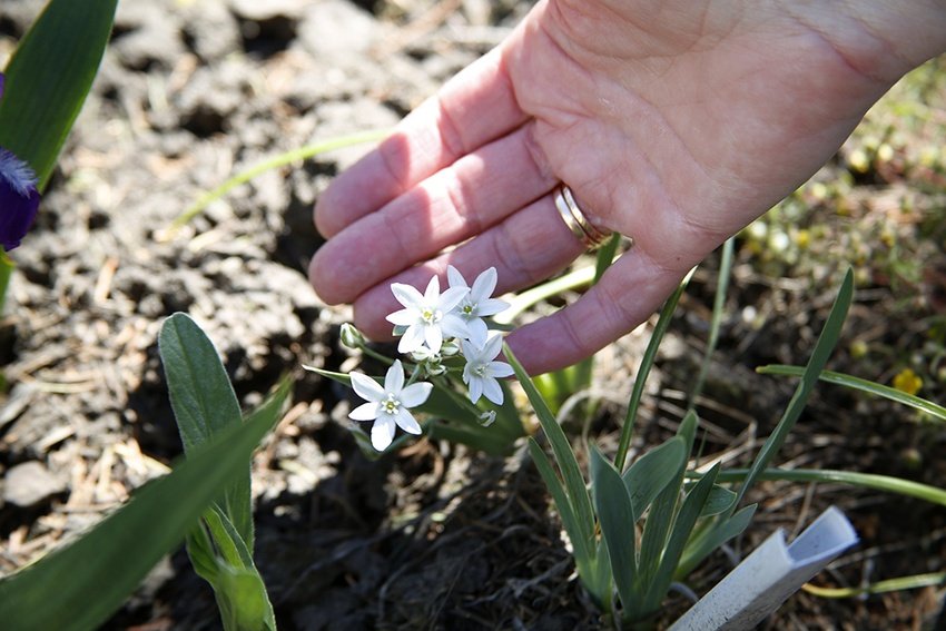 Фото: belpressa.ru