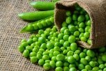 Зеленый горошек: 14 рецептов салатов, супов и вторых блюд
